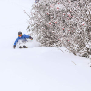 Skier in powder